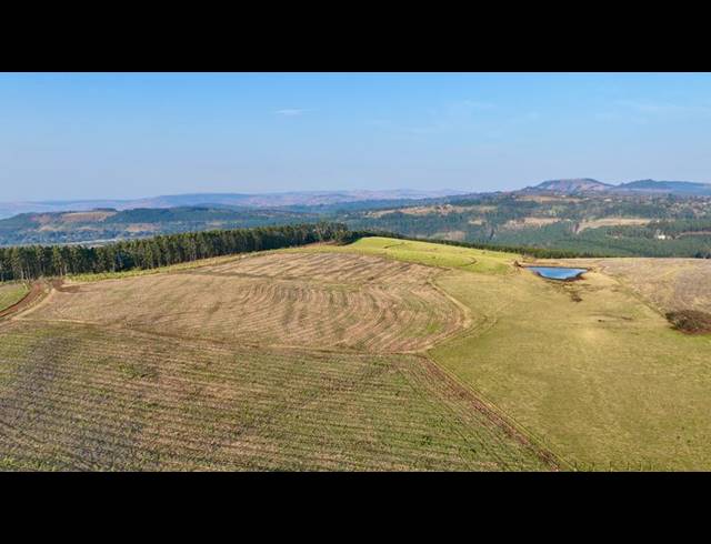 LAND FOR SALE IN MOUNT VERDE